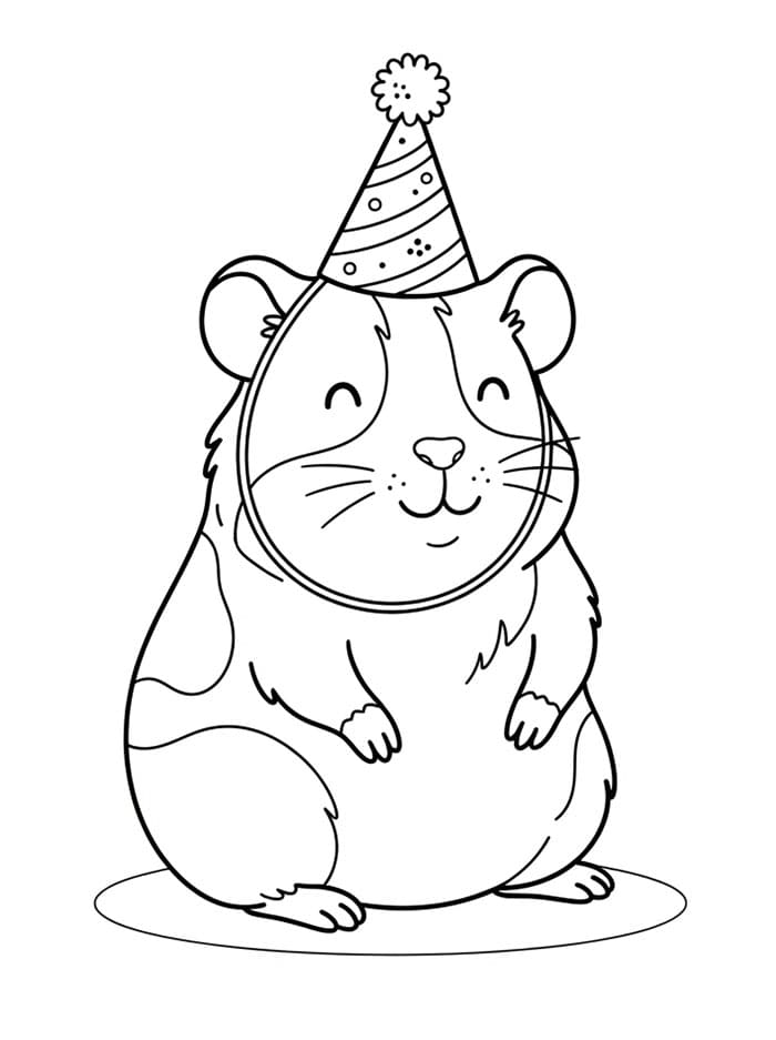 Cavia met feesthoed