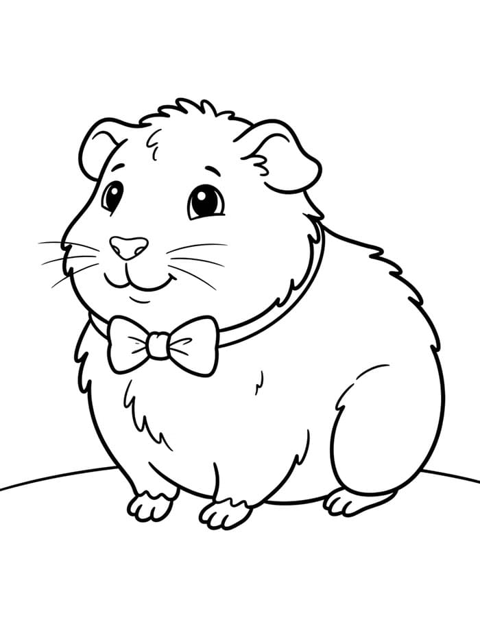 Cavia met strik