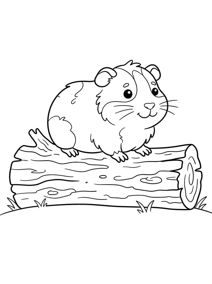 Cavia op een boomstam