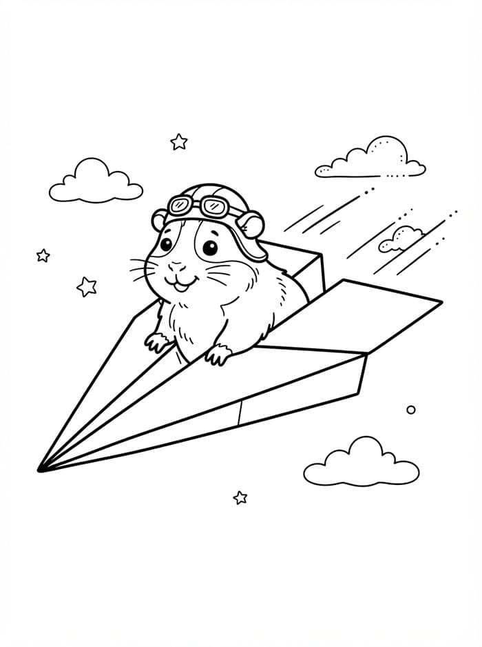 Cavia op een papieren vliegtuigje
