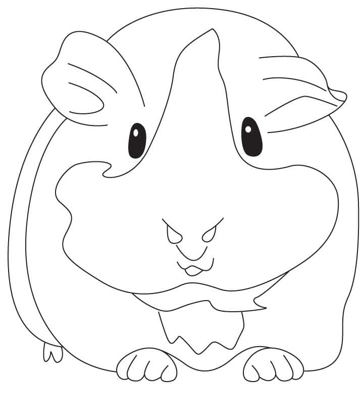 Cavia printen