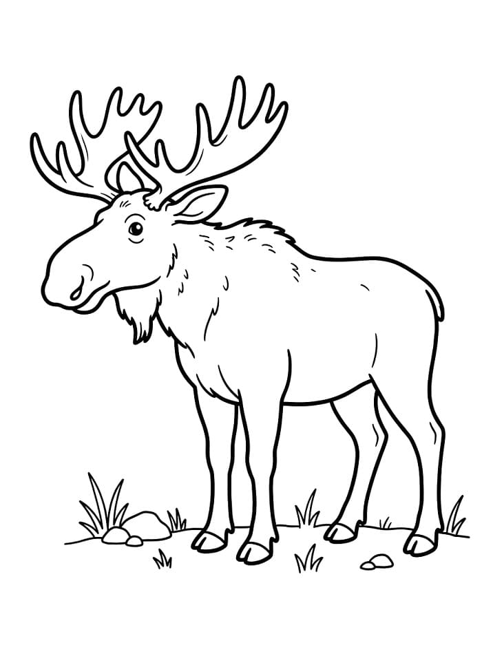 Coole eland