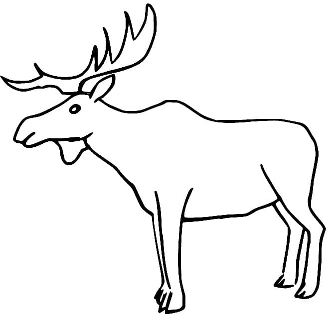 Een eland