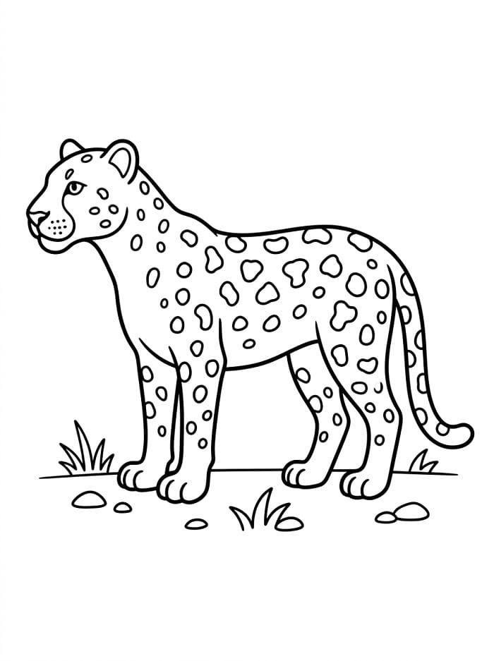 Een luipaard