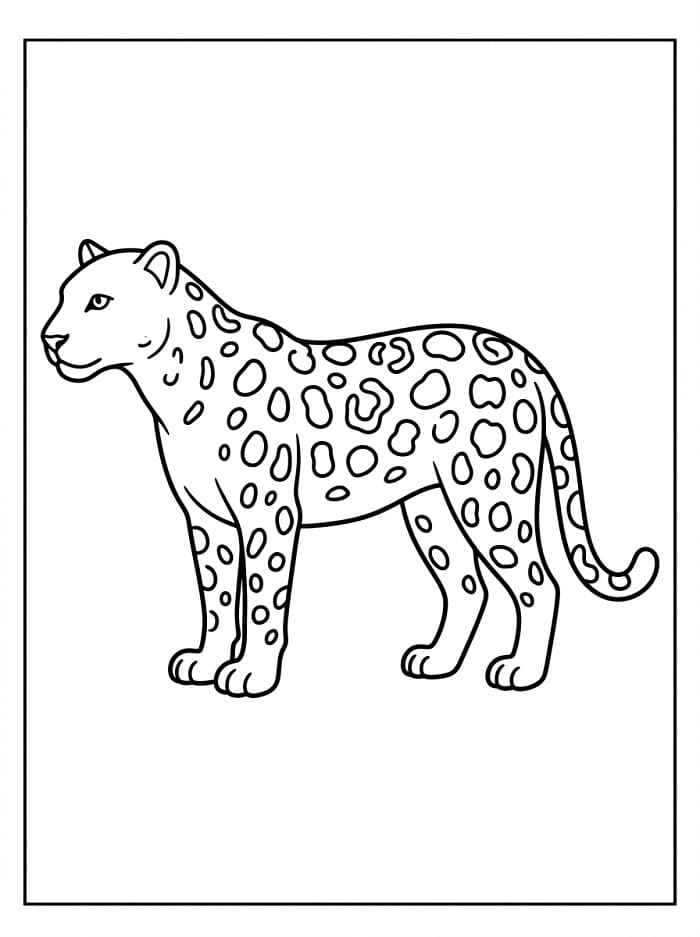 Eenvoudige luipaard