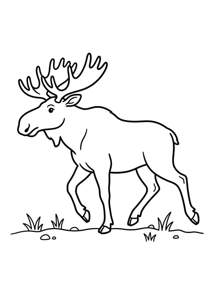 Eenvoudige wandelende eland