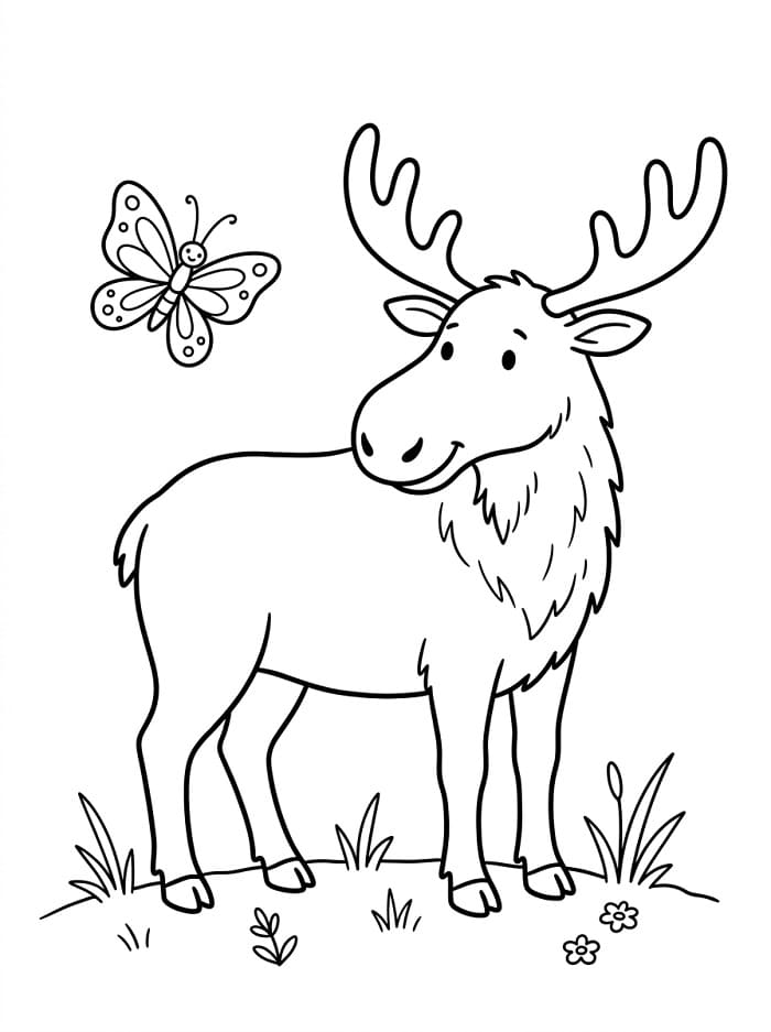 Eland en een vlinder