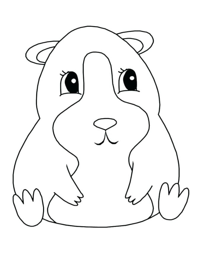 Gratis cavia