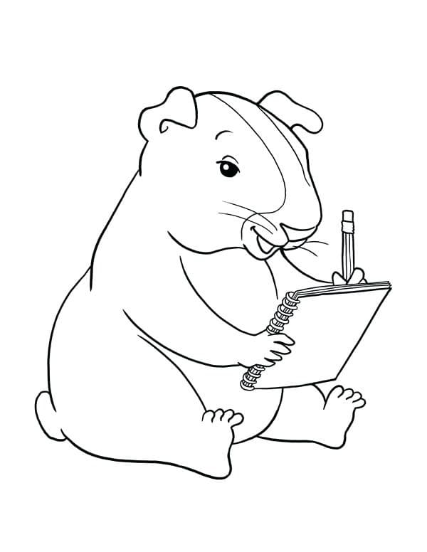 Gratis printbare cavia