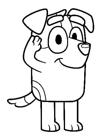 Jack uit Bluey