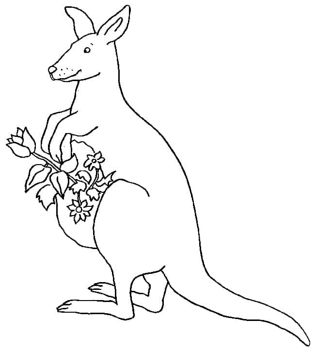 Kangoeroe en bloemen