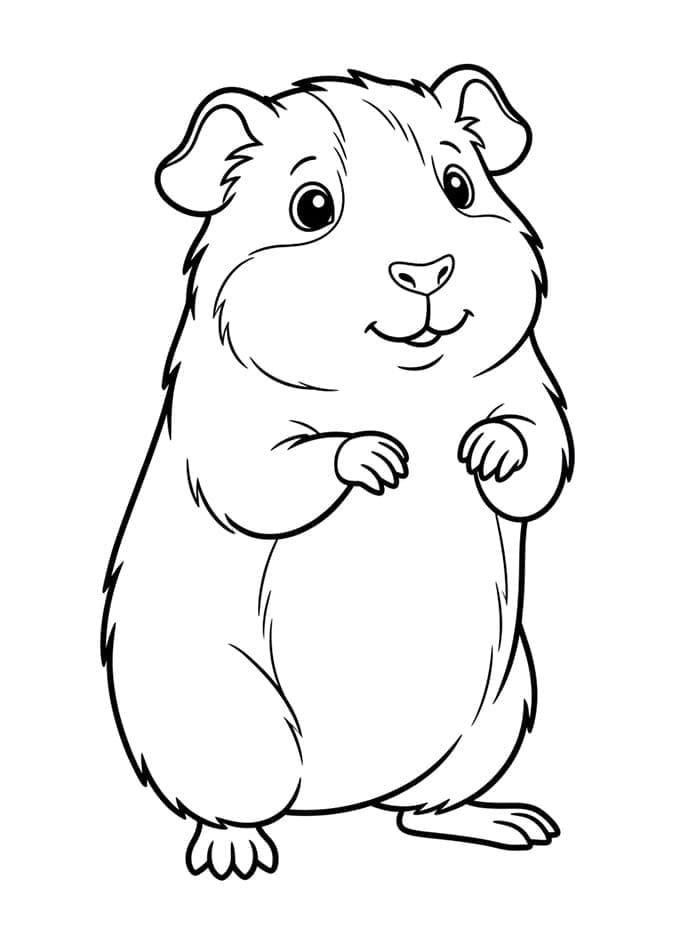 Normale cavia