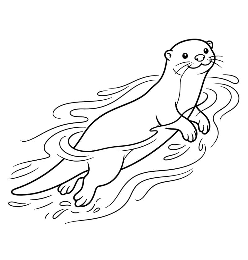 Otter printen