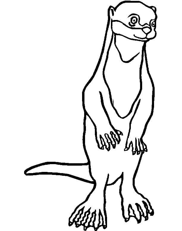 Plezierige otter