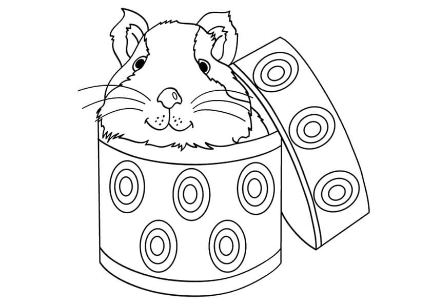 Printbare cavia