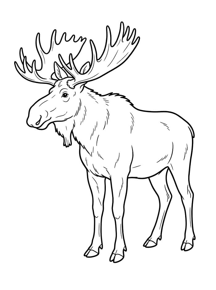 Realistische eland