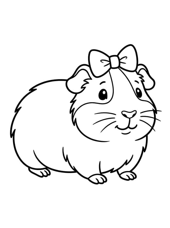 Cavia