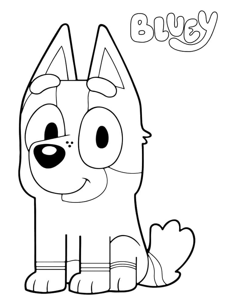 Socks uit Bluey