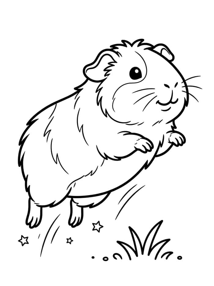 Springende cavia