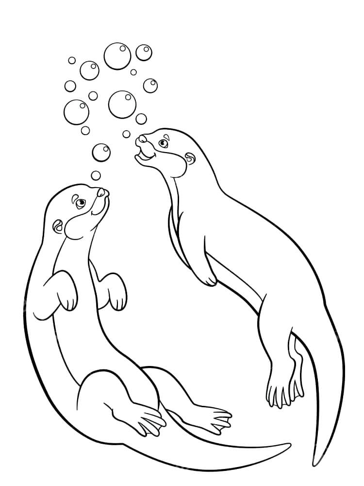 Twee otters