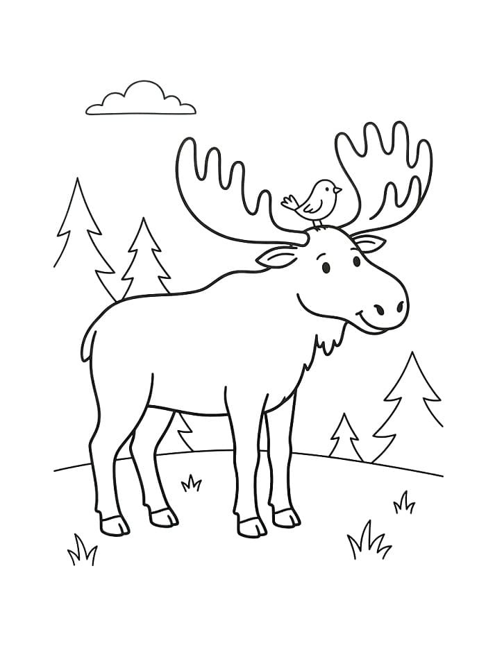 Vogel en eland